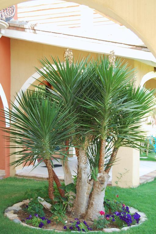 I Lentischi Aparthotel Villasimius Bagian luar foto